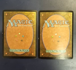 MTG 7th Edition FOIL Forest Signed (price for 2) - Image 2