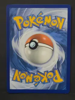 Terapagos ex 173/142 NM Hyper Rare - Stellar Crown Pokemon TCG - Image 2