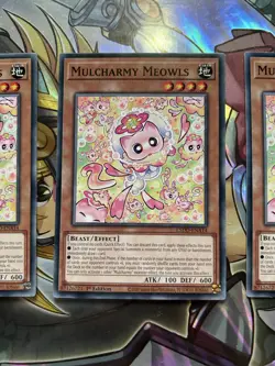 YuGiOh Mulcharmy Meowls PLAYSET L5DD-ENA14 3x Common 1st Edition - Image 2