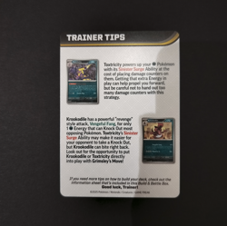 Pokemon Phantasmal Flames Build & Battle Trainer Tips Card Mega Heracross - Image 2