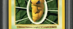 PSA 8 Base Set Shadowless Kakuna 33/102 LENGTH ERROR Pokemon Cards 1999🔥 - Image 2