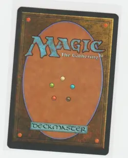 Magic the Gathering ~ 1x Koskun Falls ~ Homelands ~ M/NM ~ Signed by Artist - Image 2