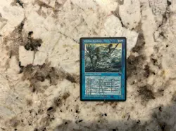 Mtg Signed Card Magic the Gathering Artist Signed Card Richard Kane Ferguson UU - Image 1