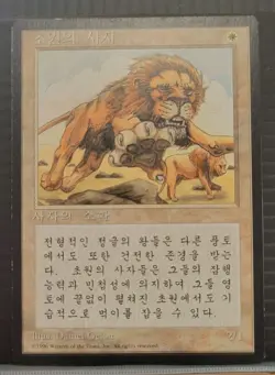 mtg KOREAN SAVANNAH LIONS NM FBB 1996 -Argo- - Image 3