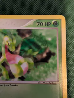 Pokemon TCG Grovyle EX Dragon 31/97 Regular Uncommon LP - Image 3