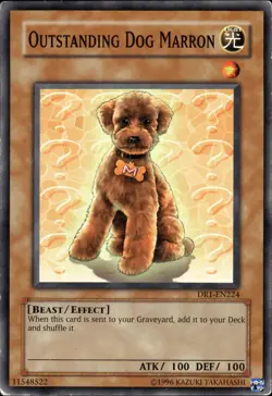Outstanding Dog Marron - DR1-EN224 - MP - YuGiOh - Image 1