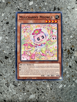 Yugioh TCG Mulcharmy Meowls L5DD-ENA14 1st Edition NM-M Combined Ship - Image 1