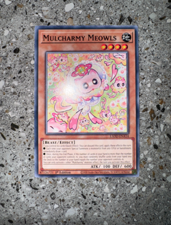 Yugioh TCG Mulcharmy Meowls L5DD-ENA14 1st Edition NM-M Combined Ship - Image 3