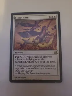 Storm Herd Commander Regular - Image 1