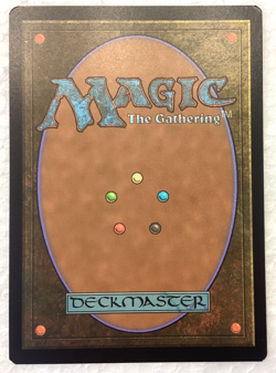 MTG - Verdant Catacombs (Retro Frame) - Modern Horizons 2 Normal - Image 2