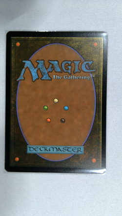 Llanowar Elves HALO FOIL # 39 MTG SLD Secret Lair Countdown Kit 2025 NM - Image 2