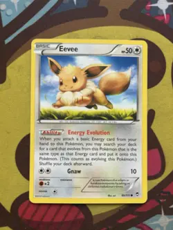 Pokemon Eevee 80/111 - XY Furious Fists - Non Holo - Excellent - Image 1