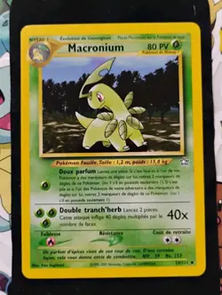 Bayleef Macronium 29/111 French Neo Genesis Pokemon NM - Image 1