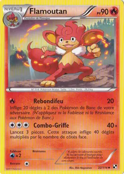 Flamoutan - N&B: Noir et Blanc - 22/114 - Carte Pokemon Francaise - Image 1