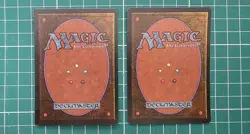 Magic the Gathering (MTG) - 2x Burnt Offering - Ice Age (Black) (Swamp) LP - Image 2