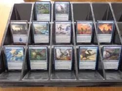 Magic the gathering Casual Deck, Mono Blue Drake Pauper Deck - Image 1