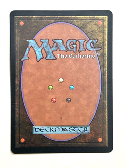 Wasteland Tempest MTG Italian Heavy Play (HP) Creased Magic the Gathering Land 1 - Image 2