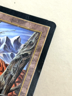 Wasteland Tempest MTG Italian Heavy Play (HP) Creased Magic the Gathering Land 1 - Image 3