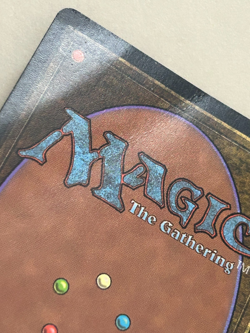 Wasteland Tempest MTG Italian Heavy Play (HP) Creased Magic the Gathering Land 1 - Image 4