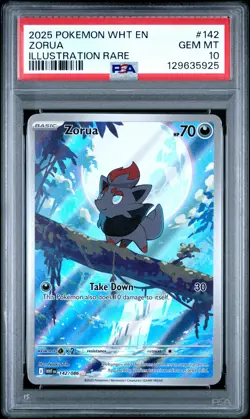 2025 POKEMON WHT EN-WHITE FLARE ILLUSTRATION RARE #142 ZORUA PSA 10 - Image 1