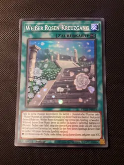 Yu-Gi-Oh! Weisser Rosen-Kreuzgang, KICO-DE019, Super Rare, 1.Auflage, Deutsch, NM - Image 1