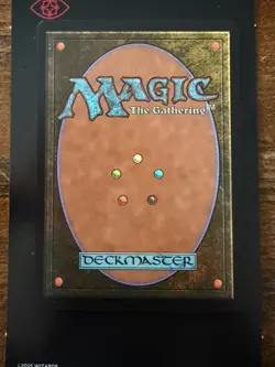 Myrel Shield of Argive ?? Borderless NonFOIL ?? MTG NM Encyclopedia Secret Lair - Image 2