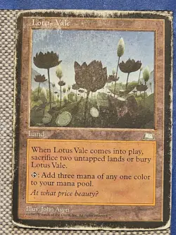 Lotus Vale - Image 1