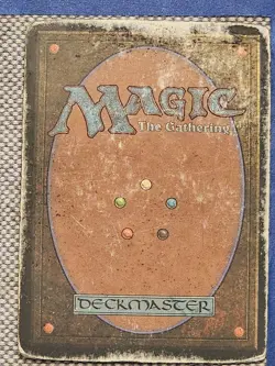 Lotus Vale - Image 2