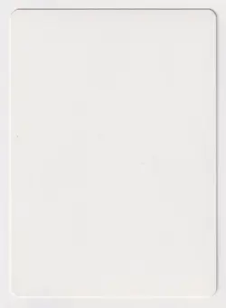 Italian Balduvian Bears Proof MP Ice Age Artist Quinton Hoover 1996 MTG Magic AP - Image 2