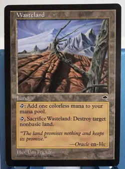 WASTELAND Tempest Vintage MTG from Magic the Gathering LP Light Play - Image 1