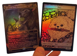 1X FOIL Rin and Seri, Inseparable BORDERLESS + TOKEN! MINT MTG Magic Secret Lair - Image 1