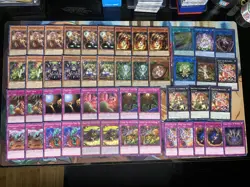 Yugioh Traptrix Deck - Plant, Insect, Trap Hole - Image 1