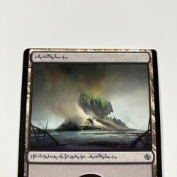 Swamp Basic MISCUT Magic MTG Magic Card NM - Image 2