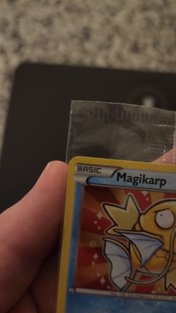 Pokemon TCG Shiny Magikarp Black Star Promo Card XY143 Sealed, Near Mint - Image 2
