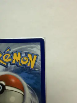 Zamazenta V 212/202 Sword & Shield Base Set Gold Secret Rare Card NM Condition - Image 4