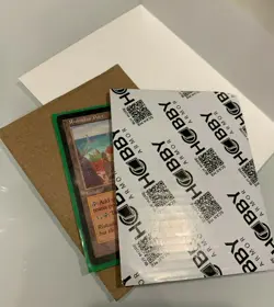 MTG Magic the Gathering - Mercadian Masques - Rishadan Port - VG - Image 3