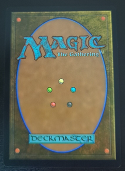 MTG Mantle of the Ancients Commander: AFR 289 Extended Art M/NM Pack Fresh - Image 2