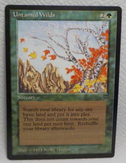 UNTAMED WILDS MAGIC THE GATHERING LEGENDS MTG 1994 Trading Card #181 - Image 1