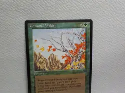 UNTAMED WILDS MAGIC THE GATHERING LEGENDS MTG 1994 Trading Card #181 - Image 4