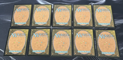 Full Art Forest X10 274 Battle for Zendikar MTG Magic the Gathering - Image 2