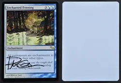 SIGNED MtG Magic Rebecca Guay Shadowmoor Artist Proof _ ENCHANTED EVENING _$100K - Image 1