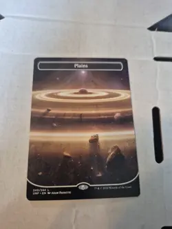 Plains (240) (Borderless) Unfinity Regular - Image 1