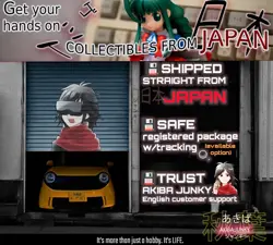 Private Courier Upgrade / US Customs Duties - Order - 04-13486-82991 AKIBA JUNKY - Image 1