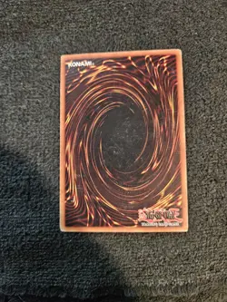 Toon Mermaid - SDP-023 - 1st ed - Common - Yugioh - Image 2