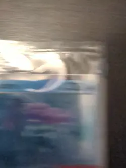 Suicune GameStop Stamped Promo Card 026/094 (New & Factory Sealed) - Image 3