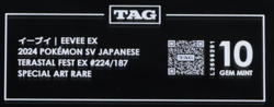 2024 Pokemon SV Terastal Festival Japanese 224/187 Eevee EX SAR TAG 10 - Image 3
