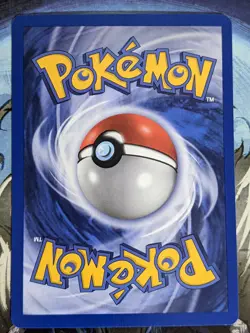 Wingull NM 84/100 Reverse HOLO Ex Sandstorm Vintage Pokemon - Image 3