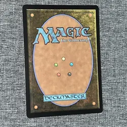 MTG Chocobo Racetrack, NM-Mint, (FIN #0179) Regular - Image 2