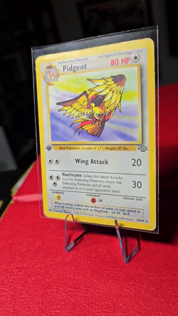 Pidgeot [1st Edition] #24 | Pokemon Jungle | Ungraded | Heavily Played | Damaged - Image 2