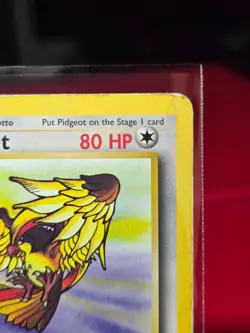 Pidgeot [1st Edition] #24 | Pokemon Jungle | Ungraded | Heavily Played | Damaged - Image 4